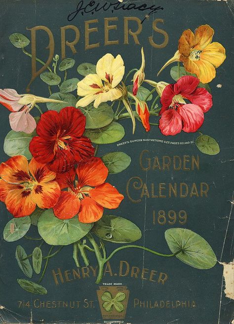 Retro Signs Vintage, Hur Man Ritar Blommor, Garden Seeds Packets, Vintage Seed Packets, Flower Seeds Packets, Garden Calendar, Seed Pack, Seed Catalogs, Vintage Packaging