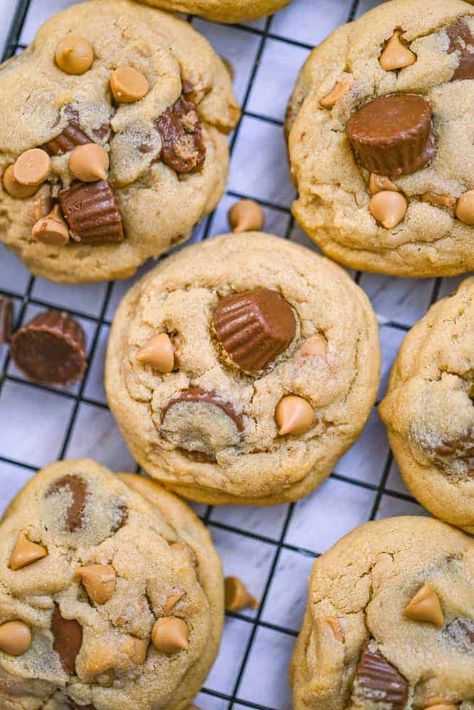 Peanut Butter Cup Explosion Cookies - These amazing Peanut Butter Cup Explosion Cookies are thick, soft and full of peanut butter flavor that will have you falling in love with them in no time. #peanutbutter #cookies #peanutbuttercookies #peanutbuttercups Peanut Butter Overload Cookies, Chocolate Explosion Cookies, Chocolate Explosion Chip Cookies, Butter Desserts, Cookie Brownie, Cookie Sandwich, Peanut Butter Cup Cookies, Chewy Peanut Butter Cookies, Peanut Butter Cookie Recipe