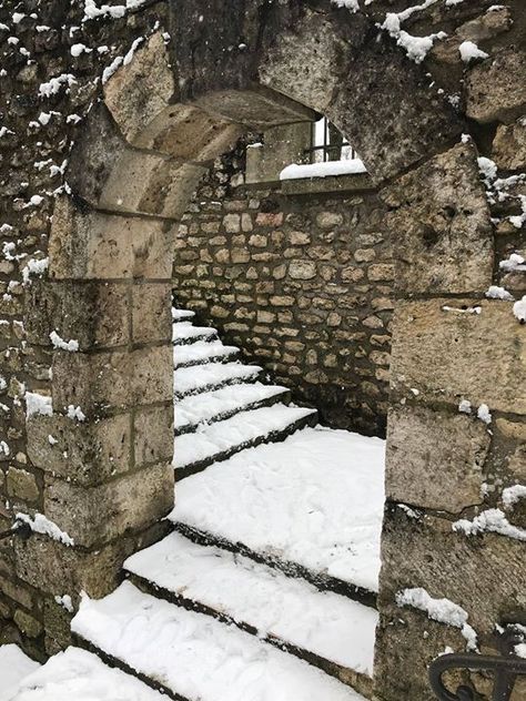 Aurelian Cycle, Winter Academia Aesthetic, Hogwarts Christmas, Medieval Aesthetic, Hogwarts Aesthetic, Harry Potter Aesthetic, Fantasy Aesthetic, Academia Aesthetic, High Fantasy