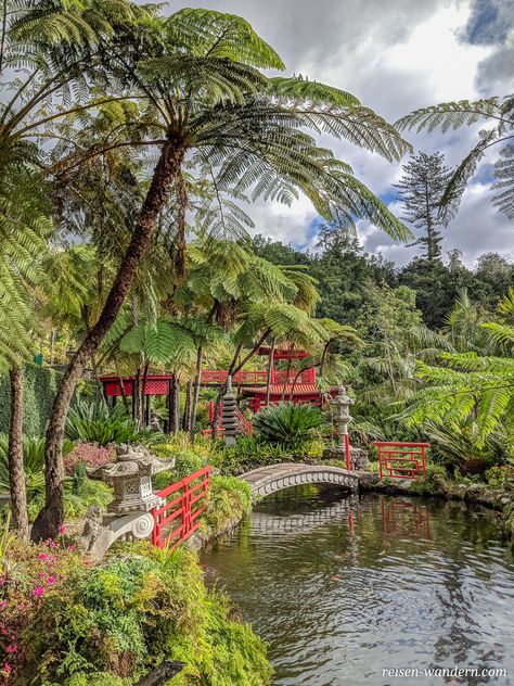 Einer der schönsten Highlights in Funchal auf Madeira ist der Monte Palace Tropical Garden⁠. Zu diesem gelangst du vom Hafen ⁠mit einer Seilbahn. Das Besondere an dem Garden ist, er hat viele Elemente aus den verschiedenen ehemaligen Handelsgebieten der Portugiesen. Darunter auch einen kleinen japanischen Garten.  ⁠#portugal #madeira #funchal #montepalace #montepalacetropicalgarden #tropicalgarden #japanesegarden #reise #reisen #reisetips #reiselust #reiseblogger #reiseblog #reisefotografie Monte Palace Tropical Garden, Monte Palace Madeira, Madeira Funchal, Funchal Madeira, Funchal, Canary Islands, Tropical Garden, Botanical Gardens, Palace