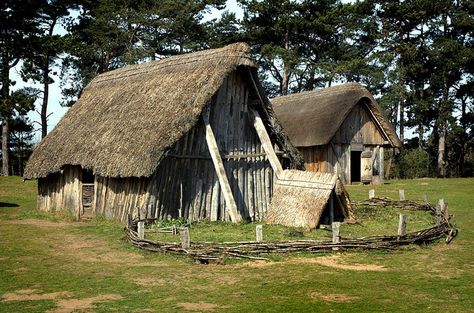 West Stow Anglo-Saxon Village 1/6    The oldest house, built on the site of the original building, with the Hall in the background. All the buildings are experimental reconstructions built to test different interpretations of the archaeological evidence. Anglo Saxon Village School Project, Modern Viking Longhouse, Anglo Saxon Houses, Viking Long House, Viking Reenactment Camp, Saxon History, Anglo Saxon History, Viking House, Viking Village