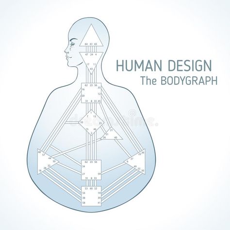 Human design bodygraph chart design. Vector illustratio stock illustration Knowledge Design, Human Vector, Energy Centers, Chart Design, Human Design, Design Vector, Stock Illustration, Stock Vector, Vector Illustration