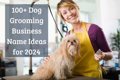 100+ Dog Grooming Business Name Ideas for 2024 Dog Grooming Business Names, Dog Grooming Styles, Dog Grooming Salons, Pet Spa, Grooming Style, Dog Grooming Business, Grooming Salon, Perfume Tray, Dog Pin