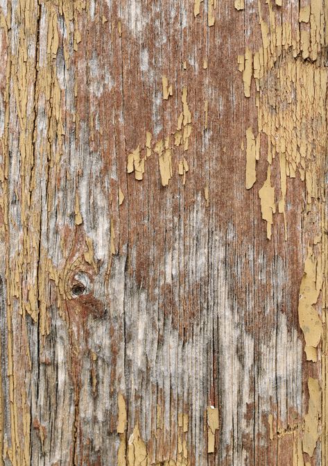 Background Wood Texture, Free Wood Texture, Painted Wood Texture, Wood Texture Seamless, White Wood Texture, Old Wood Texture, Concrete Background, Painted Backdrops, Wood Texture Background