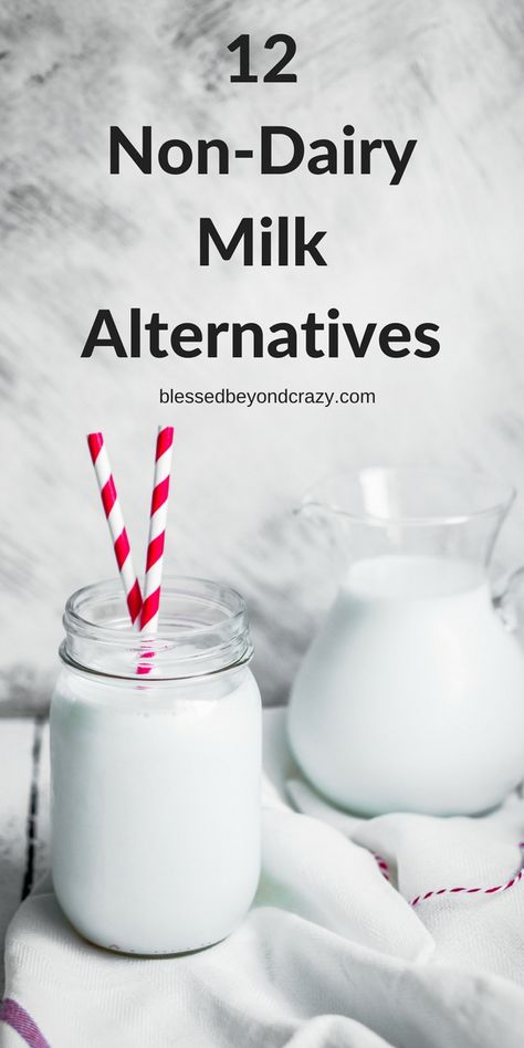 12 Non-Dairy Milk Alternatives - Dairy Snacks, Paleo Vegetarian, Non Dairy Milk, Nut Free Recipes, Dairy Alternatives, Non-dairy Milk, Vegan Milk, Milk Alternatives, Dairy Free Milk