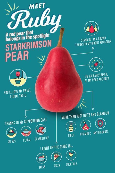 Pear Varieties, Animal Infographic, History Infographic, Red Pear, Infographic Map, Infographic Design Layout, Creative Infographic, Healthy Food Recipes Clean Eating, Infographic Poster