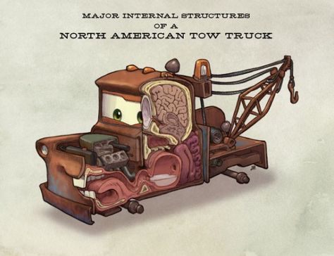 Anatomical Cars - Tow Mater  Suddenly, I'm particularly interested in biology. Disney Mater, Jake Parker, Mater Cars, Tow Mater, Cars Characters, What Lies Beneath, Valentine Photography, Quotes Disney, Pixar Movies