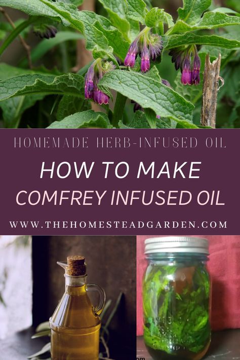 Comfrey Oil How To Make, Comfrey Infused Oil, How To Use Comfrey, Comfrey Tincture Recipe, Diy Comfrey Salve, How To Harvest Comfrey, Comfrey Oil Benefits, Comfrey Uses, Comfrey Recipes