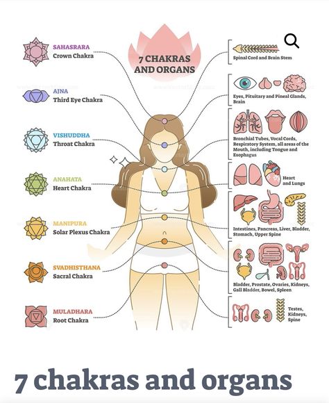 Yoga Goddess, Chakra Health, Body Diagram, Beautiful Butterfly Photography, Organ System, Chakra System, Chakra Yoga, Herbal Magic, Body Organs