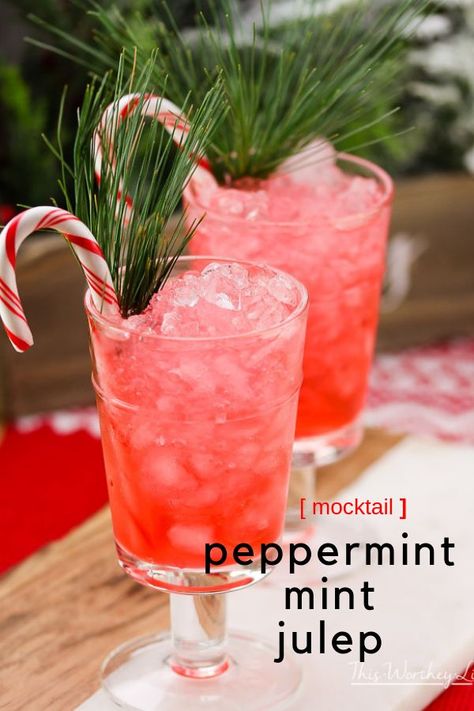 Get in the holiday mood with a drink of my Christmas Peppermint Julep. I'm taking the traditional mint julep recipe and giving it a peppermint twist. For all of my peppermint lovers, this one's for you! #peppermint #mocktails#christmasdrinks #drinkrecipes #holidaydrinks Eggnog Hot Chocolate, Christmas Drinks Nonalcoholic, Cranberry Ginger Ale, Summer Drinks Nonalcoholic, Christmas Mocktails, Christmas Drinks Alcohol Recipes, Julep Recipe, Mint Julep Recipe, Christmas Drinks Alcohol