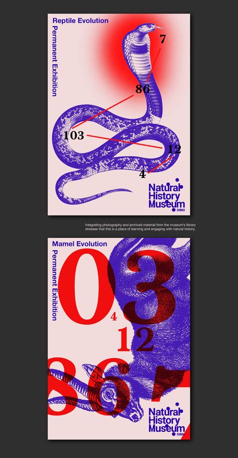 Nature History Museum, Scientific Illustration Poster, Exhibition Postcard Design, Museum Pamphlet Design, Museum Advertising Campaign, Layering Graphic Design, Postmodernism Graphic Design, History Museum Design, Cool Package Design