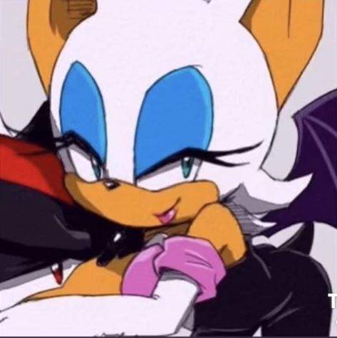 Matching Pfp Shadow, Rouge Matching Pfp, Pfp Shadow, Rouge Shadow, Knuckles And Rouge, Pfp Sonic, Sonic Tails And Knuckles, Tails And Knuckles, Sonic And Knuckles