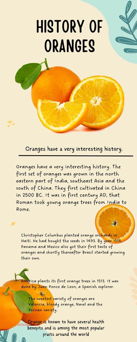 Benefits Of Oranges, Fruit Song, Meaningful Quotes About Life, Medical Facts, Cooking Hacks, All Fruits, Citrus Fruits, Orange Tree, Orange Fruit