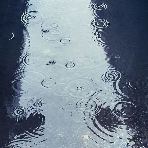 I Love Rain, Putao, Love Rain, Rainy Night, Water Ripples, Dancing In The Rain, Stardew Valley, Pics Art, Rain Drops