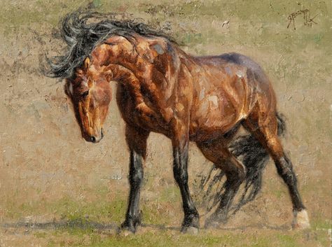 Greg Beecham, Ready to Rumble, oil, 9 x 12. Greg Beecham, Horse Study, Horsey Life, Sketchbook Challenge, Greek Paintings, Drawing Body Poses, Art Magazine, Southwest Art, Daily Painting