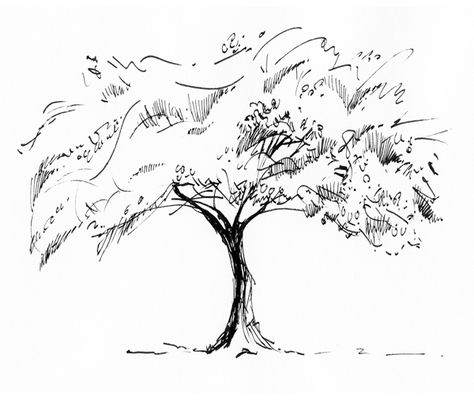 Sketches Of Tree With Quotes. QuotesGram by @quotesgram Draw Tree, Gesture Drawings, Drawing Trees, Family Tree Painting, Tree Sketch, Architectural Renderings, Family Tree Tattoo, Tree Sketches, Japanese Drawings