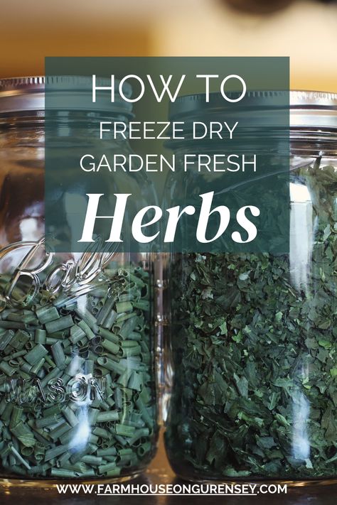 Freeze drying our garden fresh herbs has been a complete culinary game changer in the kitchen….let me tell ya! 
To freeze dry herbs, there are a few simple steps to follow.  Let me walk you through them. How To Freeze Dry Fresh Herbs, Freeze Drying Herbs, Drying Thyme, Homestead Organization, Freezing Fresh Herbs, Dry Sage, Drying Fresh Herbs, Harvest Right Freeze Dryer, Mint Herb