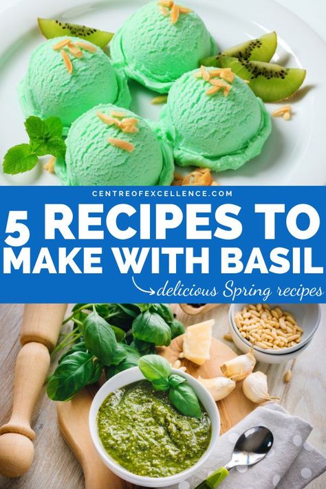 Do you have a lot of homegrown basil and don't know what to do with it? Luckily, there are many delicious things you can make with this amazing herb - from pesto and soup to ice cream. Click here for 5 Spring recipes to try. Centre Of Excellence | Basil Recipes Fresh | Basil Recipes Thai | Basil Recipes Vegetarian | Spring Recipes Healthy | Spring Recipes Dinner | Herbal Tea Recipes | Grow Basil | Healthy Eating Basil Recipes Dinner Ideas, Basil Recipes Vegetarian, Spring Recipes Healthy, What To Do With Basil, Thai Basil Recipes, Herbal Tea Recipes, Fresh Basil Recipes, Grow Basil, Basil Tea