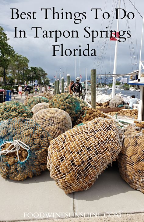 Best Things To Do In Tarpon Springs Florida | Looking for fun Things to Do in Tarpon Springs Florida? Look no further! Here are the best Things to Do in Tarpon Springs, either on a solo adventure or with kids. | Food Wine Sunshine #tarponsprings #florida #floridatravel #traveldestinations Tarpon Springs Sponge Docks, Madeira Beach Florida, Tarpon Springs Florida, Florida Vacation Spots, Florida Getaway, Solo Adventure, Florida Adventures, Madeira Beach, Springs Florida