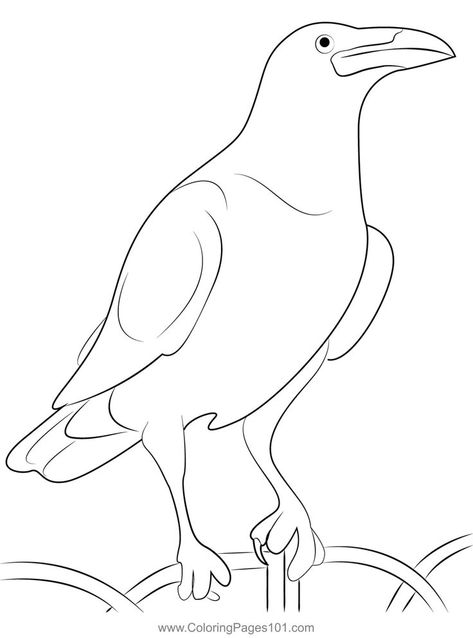 Scary Raven Coloring Page Crow Outline, Crow Pictures, Clipart Black And White, Black And White Drawing, Snow Man, Sewing Projects For Beginners, Crows, Free Kids, Printable Coloring Pages