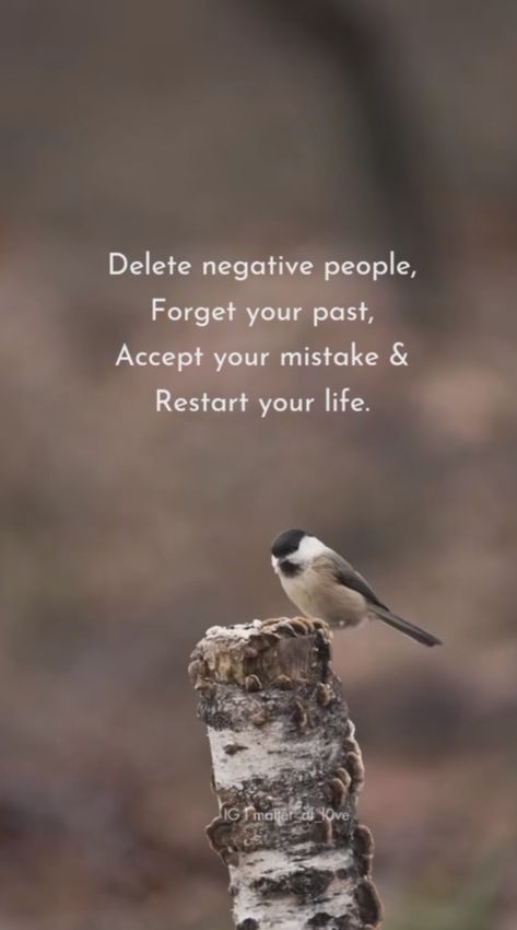 Restart your life for the best Restart Your Life Quote, Restart Wallpaper, Restarting Your Life, Restart Quotes, Restart Life, Yoga Captions, Restart Your Life, Nature Quotes Beautiful, Devotional Images