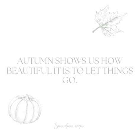 Autumn shows us how beautiful it is to let things go. 🍂🍁 #autumn #fall #leafs #leaf #selflove #letgo #autumnvibes🍁 #autumnquotes #fallquotes Let Things Go, Autumn Quotes, Show Us, Autumn Fall, Fall Vibes, How Beautiful, Letting Go, Self Love, Let It Be