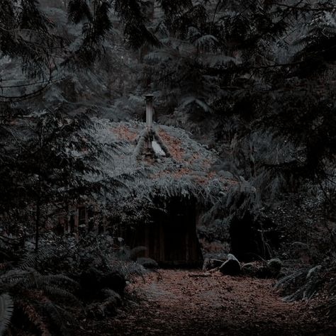 Sge Aesthetic, Rivers Aesthetic, Alys Rivers, Hunter Aesthetic, Crimson Rivers, The Thirteenth Tale, Morgana Le Fay, Witches Cottage, Medieval Aesthetic