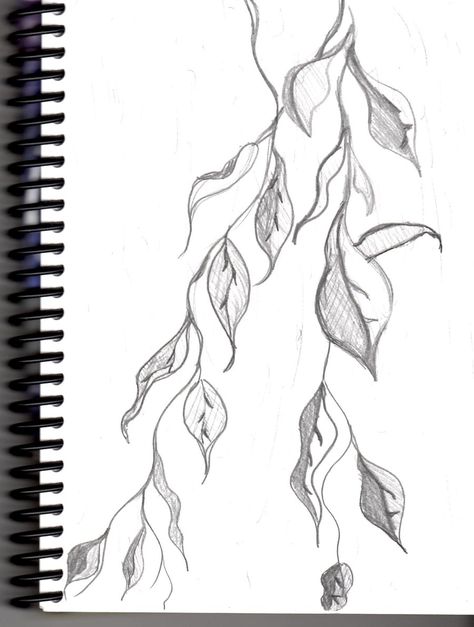 Vine / Plant (Sketched from Tree Branch) by Jokermagic.deviantart.com on @DeviantArt Plant Veins Drawing, Plant Sketch Pencil, Vines Drawing Simple, Vines Sketch, Tree Branch Sketch, Gothic Sketches, Vine Sketch, Drawing Vines, Vines Drawing