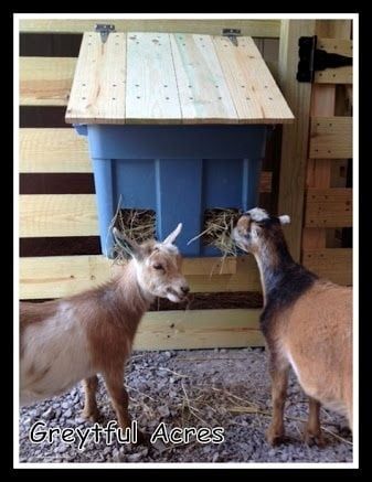 Diy Hay Feeder, Goat Hay Feeder, Goat Feeder, Goat Playground, Goat Toys, Goat Shed, Goat Pen, Goat Shelter, Mini Goats