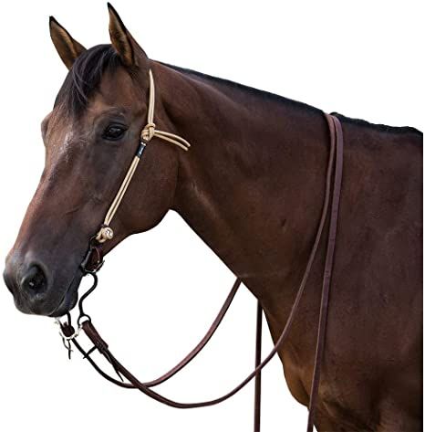 Diy Horse, Equestrian Helmets, Equestrian Helmet, Western Tack, Types Of Horses, Horse Equipment, Horse Tips, Farm Ideas, Horse Accessories