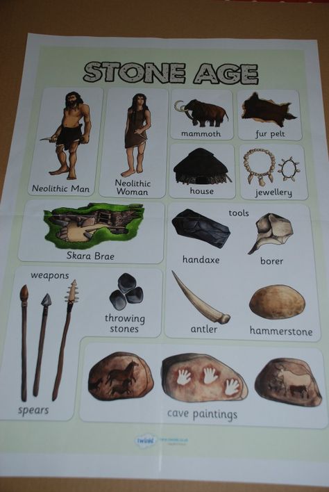 stone age  poster Stone Age Facts, Early Humans Tools, Human Evolution Tree, Stone Age Ks2, Stone Age Display, Literacy Poster, Stone Age Boy, Stone Age Activities, Early Humans History