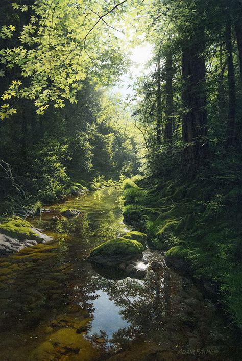 Easels, Alam Yang Indah, Magical Places, Nature Aesthetic, Pretty Places, Fantasy Landscape, Nature Scenes, In The Woods, Nature Pictures