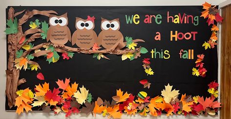 Fall Owl Bulletin Board Ideas, Autumn Notice Board Ideas, Fall Bulletin Board Ideas For Preschool September, Fall Bulletin Board Ideas For Daycare, Fall Classroom Bulletin Boards, Thanksgiving Door Decorations Classroom, Owl Bulletin Boards, Thanksgiving Door Decorations, Preschool Door