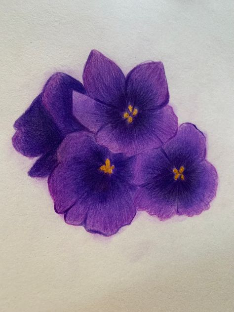 Purple flower drawing African Violet African Violets Drawing, African Violet Painting, Purple Flower Drawing, Violet Drawing, African Violet, Arte Sketchbook, Violet Flower, African Violets, Purple Flower