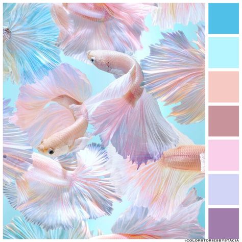 Mermaid Dreams — Stacia Farrar Mermaid Colors Aesthetic, Kokomi Palette, Mermaid Colour Palette, Pallate Color, Ariel Moodboard, Mermaid Color Scheme, Mermaid Color Palette, Mermaid Moodboard, Mermaid Colours