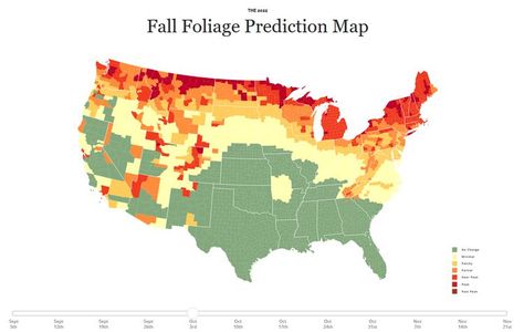 This Interactive Fall Foliage Map Tells You Exactly When Your Leaves Will Peak Smoky Mountains Fall, Fall Foliage Map, Vermont Fall, Us Forest Service, Southwest Colorado, Colorado Fall, Late November, Fall Getaways, Steamboat Springs