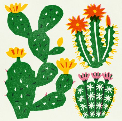 Cacti on Behance Cactus Drawing, Crochet Garden, Pizza Art, Cactus Illustration, Pottery Painting Designs, Cactus Art, Hand Drawn Flowers, Branding Design Inspiration, Plant Illustration