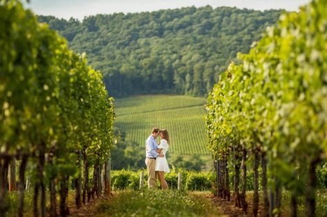 Top 10 Engagement Session Locations | Charlottesville, VA Vineyard Engagement Photos, Aaron Watson, Save The Date Pictures, Engagement Photography Poses, Couple Engagement Pictures, Charlottesville Wedding, Engagement Shots, Summer Engagement Session, Charlottesville Virginia