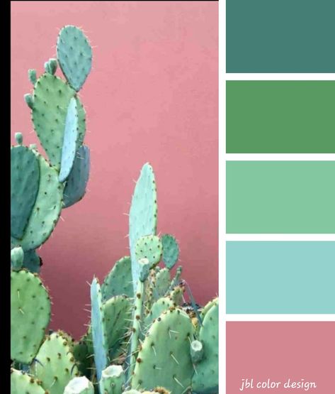 Cactus Colour Palette, Cactus Green Color, Relax Color Palette, Agave Color Palette, Cactus Color Palette, Succulent Color Palette, Plant Color Palette, Calm Color Palette, Turquoise Color Palette