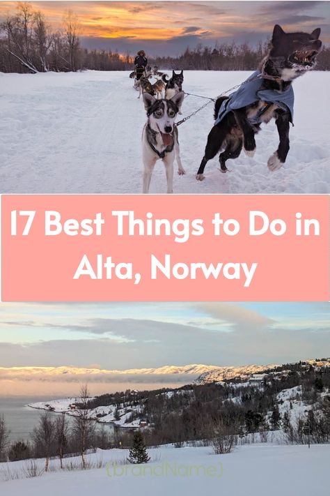 dog sled and fjord of alta in the winter time Norway In Winter, Iceland Itinerary, Iceland Travel Tips, Finland Travel, Wilderness Lodge, Denmark Travel, Sweden Travel, See The Northern Lights, Norway Travel