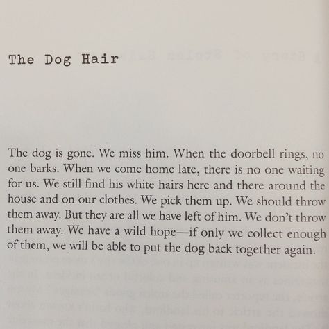 The Dog Hair by Lydia Davis, from her collection “Can’t and Won’t” Dog Hair Poem, The Dog Hair Poem, Dog Hair Quotes, Dog Died Quotes, Angry Dog Poetry, Lydia Davis, Dog Poetry, Die Quotes, Dog Poems