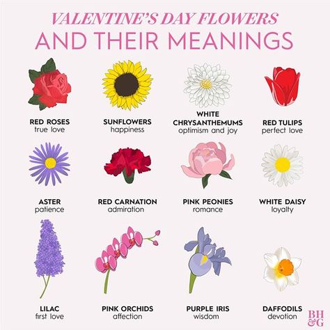 Roses are red—but what do they mean? 🌹From first love to true love and friendship to devotion, here's what your favorite blooms have come… Flowers Meaning Love, Friendship Image, Red Roses And Sunflowers, Rose Meaning, Small Wave Tattoo, Friendship Forever, Friendship Images, Flower Symbol, Red Carnation