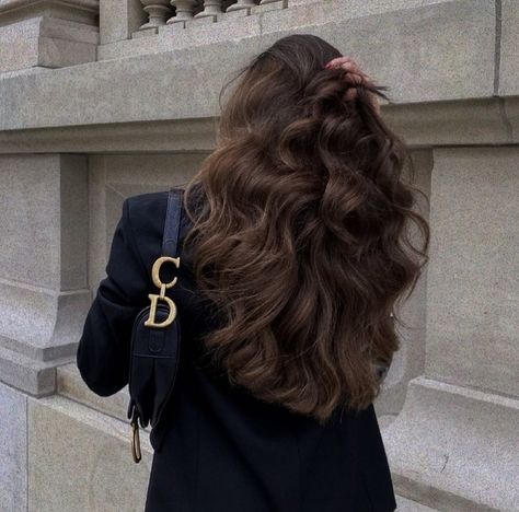 Healthy Shiny Hair, Brown Hair Looks, Brown Hair Inspo, Hairstyles For Layered Hair, Dream Hair, Shiny Hair, All Hair Types, Aesthetic Hair, Mode Inspiration