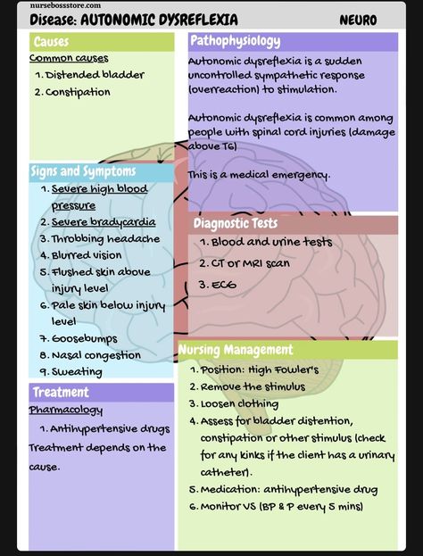 Spinal Cord Injuries Nursing, Nicu Nurse Education, Autonomic Dysreflexia, Journal Pens, Nursing Instructor, Nursing Skills, Concept Maps, Neurological System, Bells Palsy