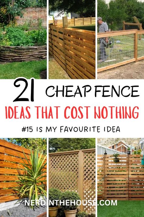 Install a vertical garden on a fence or wall. Use it to grow herbs, flowers, or succulents, which saves space and adds greenery to your backyard. No Fence Backyard Ideas, Affordable Fencing Ideas, Fun Fence Ideas, Perimeter Fence Ideas, How To Build A Garden Fence, Cheapest Privacy Fence Ideas, Fencing Ideas For Large Property, Budget Friendly Landscaping Ideas, Diy Small Fence