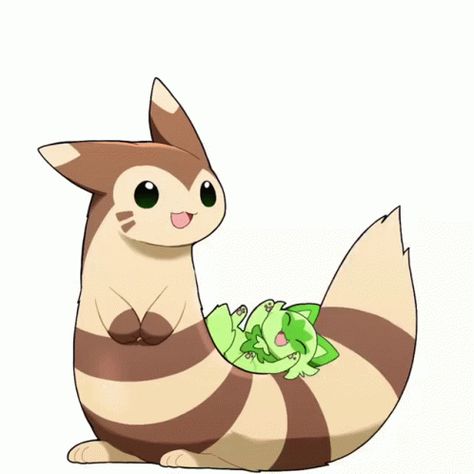 Sprigatito Pokemon, Fakemon Art, Cat Pokemon, Pokemon Room, Pokemon Diy, Pokemon Gif, Cute Pokemon Pictures, Pokemon Eevee, Pokémon Stuff