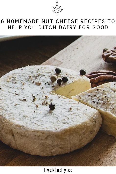 Fermented Nut Cheese, Macadamia Nut Cheese, Vegan Havarti Cheese, Vegan Nut Recipes, How To Make Vegan Cheese, Brazil Nut Cheese, Nut Cheese Recipe, Cheese Guide, Vegan Cheese Recipe