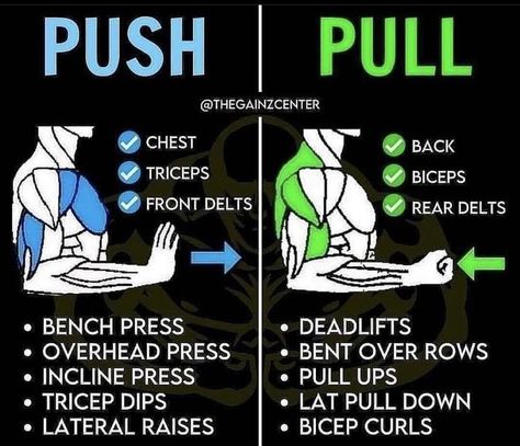 Push Day Muscle Groups, Dumbell Pull Day Workout, Push Pull Day Workout, Push Pull Upper Body Workout, Dumbell Pull Workout, Push Vs Pull Day, Push Vs Pull Workout, Push Pull Workout Routine Women, Push And Pull Workouts