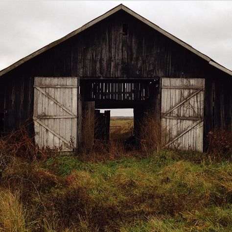 Southern Gothic Aesthetic, Eastern Kentucky, American Gothic, Southern Gothic, Gothic Aesthetic, Nebraska, In The Middle, Iowa, Mood Boards