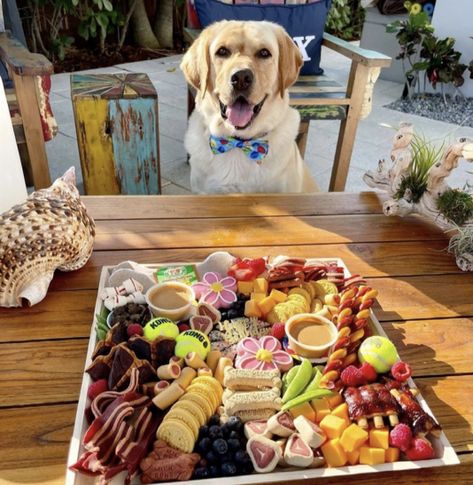 Dog Boutique Ideas, Dog Treats Homemade Recipes, Dog Business, Dog Birthday Cake, Dog Enrichment, Charcuterie Inspiration, Dog Cakes, Raw Dog Food Recipes, Puppy Birthday